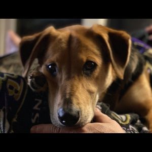 Meet your Posher, Jill